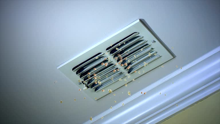 Best Home Air Vent Cleaning  in Mountainside, NJ